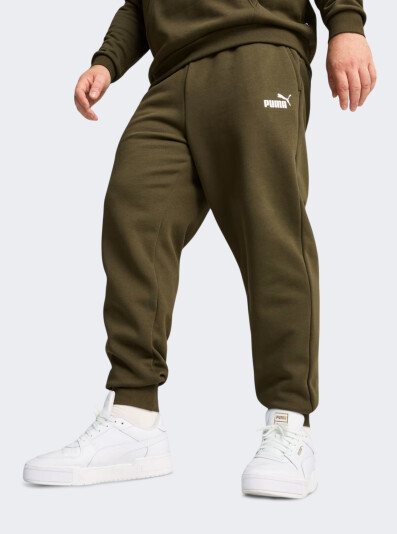 Спортивные штаны Puma ESS Logo Pants FL cl (s) - 167683, фото 1 - интернет-магазин MEGASPORT