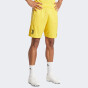 Шорты Adidas JUVE TR SHO, фото 1 - интернет магазин MEGASPORT
