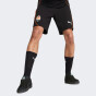 Шорты Puma FCSD Casuals Shorts, фото 1 - интернет магазин MEGASPORT