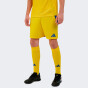 Шорты Adidas cuLIC24 SHO, фото 1 - интернет магазин MEGASPORT