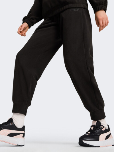 Спортивные штаны Puma ESS ELEVATED Winterized Pants - 169158, фото 1 - интернет-магазин MEGASPORT