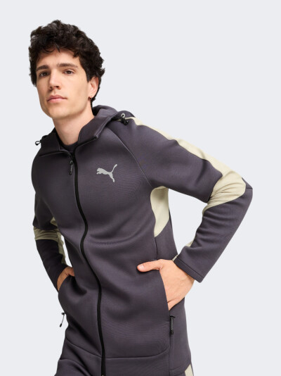 Кофта Puma EVOSTRIPE Full-Zip Hoodie DK - 167109, фото 1 - інтернет-магазин MEGASPORT