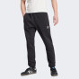 Спортивные штаны Adidas Originals ESS PT, фото 1 - интернет магазин MEGASPORT