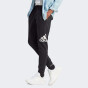 Спортивные штаны Adidas M BL FL TC PT, фото 1 - интернет магазин MEGASPORT