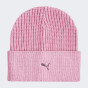 Шапка Puma Metal Cat Beanie, фото 1 - інтернет магазин MEGASPORT