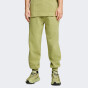 Спортивные штаны Puma BMW MMS ESS+ PANTS FLEECE, фото 1 - интернет магазин MEGASPORT