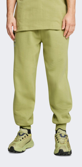 Спортивні штани Puma BMW MMS ESS+ PANTS FLEECE - 167102, фото 1 - інтернет-магазин MEGASPORT