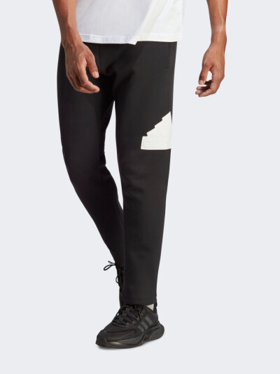 Спортивнi штани Adidas M FI BOS PT - 157663, фото 1 - інтернет-магазин MEGASPORT