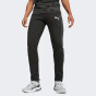 Спортивные штаны Puma EVOSTRIPE Pants DK, фото 1 - интернет магазин MEGASPORT