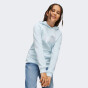 Кофта Puma детская ESS Logo Hoodie FL G, фото 1 - интернет магазин MEGASPORT