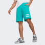 Шорты Puma ESS+ PALM RESORT Shorts 10" TR, фото 1 - интернет магазин MEGASPORT