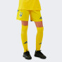 Шорти Adidas дитячі cuLIC24 SHO Y, фото 1 - інтернет магазин MEGASPORT