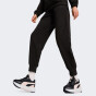 Спортивные штаны Puma ESS ELEVATED Winterized Pants, фото 1 - интернет магазин MEGASPORT