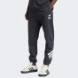 Спортивнi штани Adidas M SW TM SWTPNTS, фото 1 - інтернет магазин MEGASPORT
