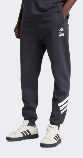 Спортивные штаны Adidas M SW TM SWTPNTS - 171438, фото 1 - интернет-магазин MEGASPORT