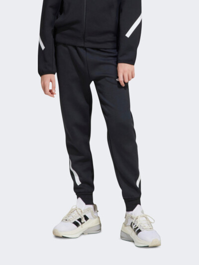 Спортивнi штани Adidas J Z.N.E. PT - 171409, фото 1 - інтернет-магазин MEGASPORT
