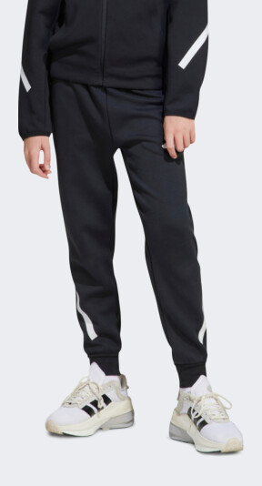 Спортивні штани Adidas дитячі J Z.N.E. PT - 171409, фото 1 - інтернет-магазин MEGASPORT