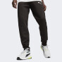 Спортивнi штани Puma EVOSTRIPE Pants DK, фото 1 - інтернет магазин MEGASPORT