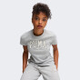 Футболка Puma SQUAD Graphic Tee, фото 1 - інтернет магазин MEGASPORT