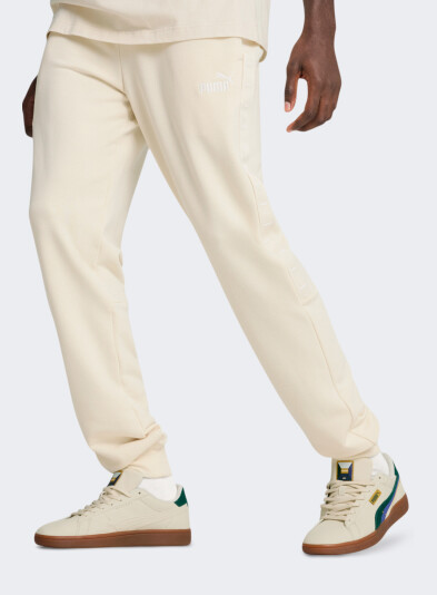 Спортивні штани Puma ESS TAPE Sweatpants TR cl - 172164, фото 1 - інтернет-магазин MEGASPORT