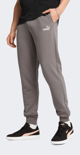 Спортивні штани Puma ESS No. 1 Logo Sweatpants TR cl (s) - 170639, фото 1 - інтернет-магазин MEGASPORT
