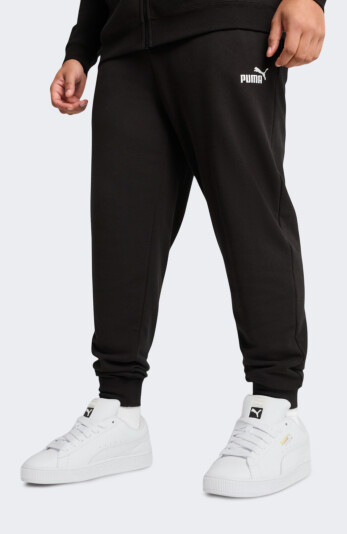Спортивные штаны Puma ESS No. 1 Logo Slim Sweatpants TR cl - 170454, фото 1 - интернет-магазин MEGASPORT