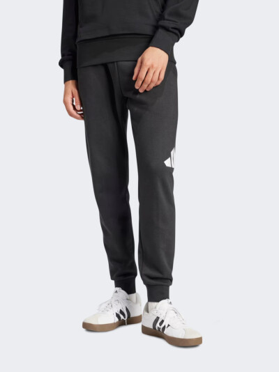 Спортивнi штани Adidas M BL FT PT - 170824, фото 1 - інтернет-магазин MEGASPORT