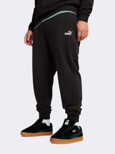 Спортивнi штани Puma ESS No. 1 Logo Sweatpants TR cl - 170563, фото 1 - інтернет-магазин MEGASPORT