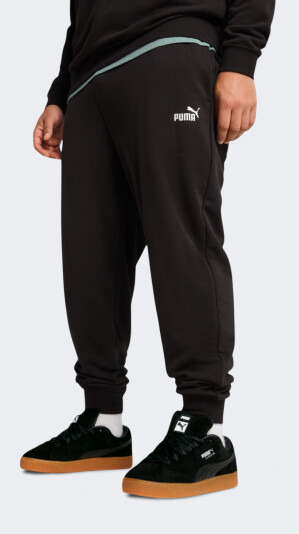 Спортивные штаны Puma ESS No. 1 Logo Sweatpants TR cl - 170563, фото 1 - интернет-магазин MEGASPORT