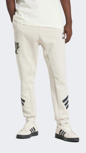 Спортивні штани Adidas M SW TM SWTPNTS - 171698, фото 1 - інтернет-магазин MEGASPORT