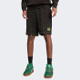 Шорти Puma X TMNT Relaxed Shorts 6" TR, фото 1 - інтернет магазин MEGASPORT