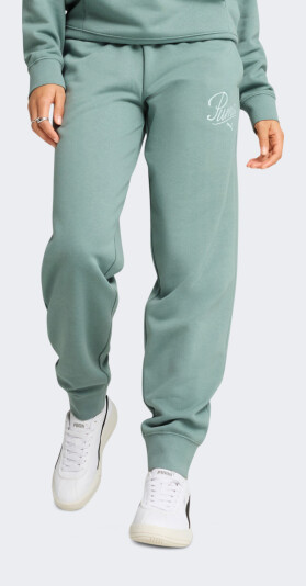 Спортивные штаны Puma ESS SCRIPT Comfort Sweatpants TR cl - 171741, фото 1 - интернет-магазин MEGASPORT