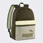 Рюкзак Puma PHASE COLOR BLOCK Backpack, фото 1 - интернет магазин MEGASPORT
