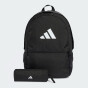 Рюкзак Adidas CLSC PCASE BP, фото 1 - інтернет магазин MEGASPORT