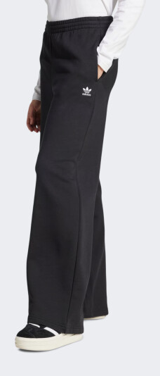 Спортивные штаны Adidas Originals ESS WL PANT FT - 174669, фото 1 - интернет-магазин MEGASPORT