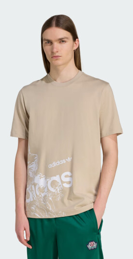 Футболка Adidas Originals GRAPHIC LO SS T - 174760, фото 1 - інтернет-магазин MEGASPORT