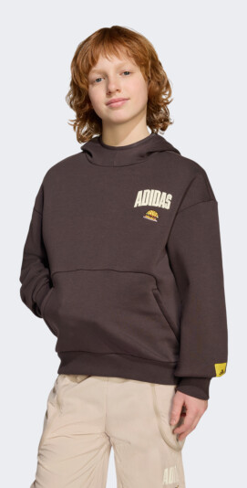 Кофта Adidas дитяча J SIM HD - 174752, фото 1 - інтернет-магазин MEGASPORT