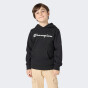 Кофта Champion дитяча hooded sweatshirt, фото 1 - інтернет магазин MEGASPORT