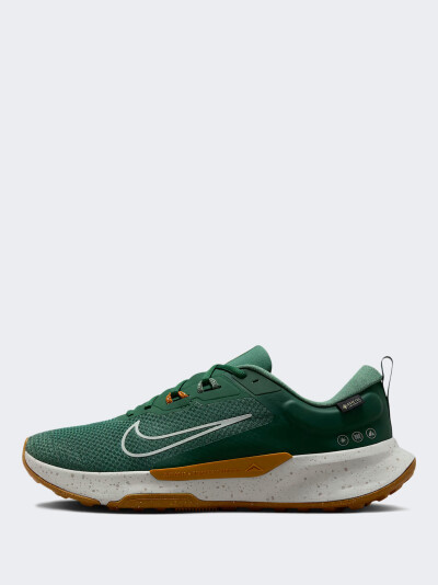 Кросівки Nike JUNIPER TRAIL 2 GTX V2 - 174823, фото 1 - інтернет-магазин MEGASPORT