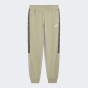 Спортивнi штани Puma ESS TAPE Sweatpants FL cl, фото 1 - інтернет магазин MEGASPORT