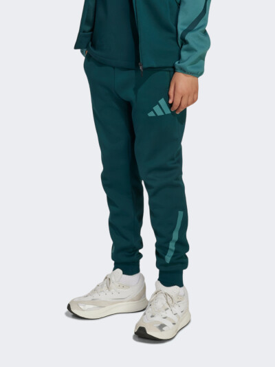 Спортивнi штани Adidas J Z.N.E. PT - 174964, фото 1 - інтернет-магазин MEGASPORT