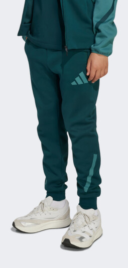 Спортивные штаны Adidas детские J Z.N.E. PT - 174964, фото 1 - интернет-магазин MEGASPORT