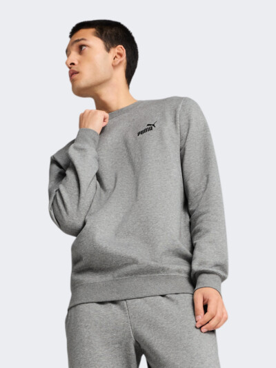 Кофта Puma ESS Small No. 1 Logo Crew FL - 175064, фото 1 - інтернет-магазин MEGASPORT