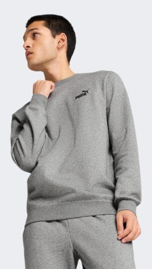 Кофта Puma ESS Small No. 1 Logo Crew FL - 175064, фото 1 - інтернет-магазин MEGASPORT