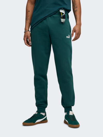 Спортивнi штани Puma ESS No. 1 Logo Sweatpants FL cl (s) - 175066, фото 1 - інтернет-магазин MEGASPORT