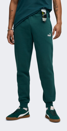 Спортивні штани Puma ESS No. 1 Logo Sweatpants FL cl (s) - 175066, фото 1 - інтернет-магазин MEGASPORT