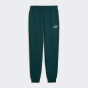 Спортивнi штани Puma ESS No. 1 Logo Sweatpants FL cl (s), фото 4 - інтернет магазин MEGASPORT