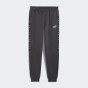 Спортивнi штани Puma ESS TAPE Sweatpants FL cl, фото 1 - інтернет магазин MEGASPORT