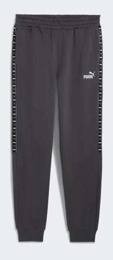 Спортивні штани Puma ESS TAPE Sweatpants FL cl - 175071, фото 1 - інтернет-магазин MEGASPORT