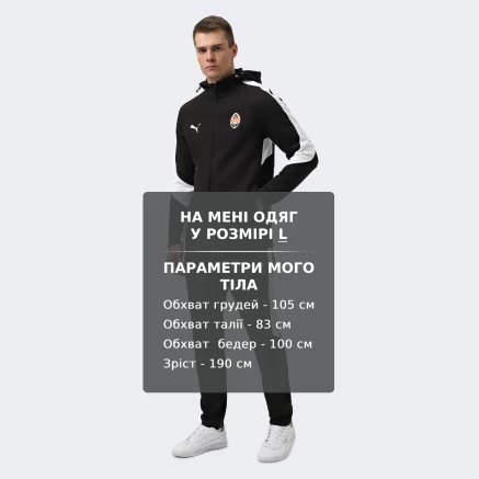 Спортивнi штани Puma FCSD EVOSTRIPE Pants - 173849, фото 6 - інтернет-магазин MEGASPORT